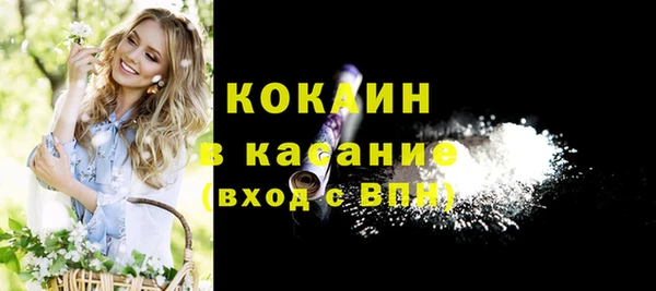 Альфа ПВП Горняк
