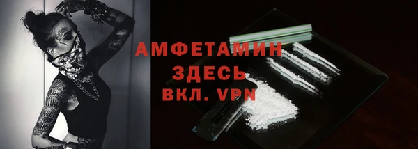 Альфа ПВП Горняк