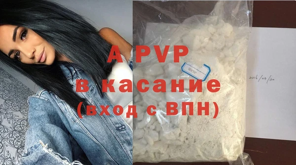 Альфа ПВП Горняк