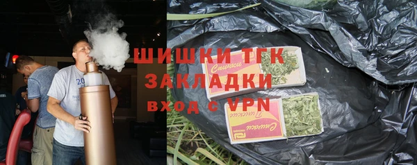 Альфа ПВП Горняк
