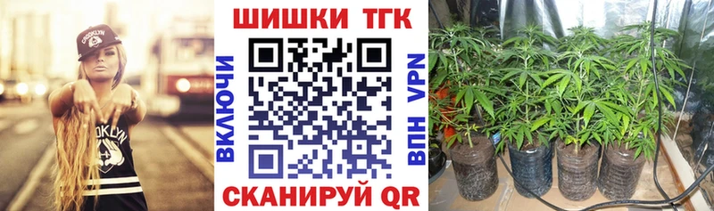 Конопля гибрид  Купить  Киселёвск 
